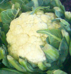 coliflor