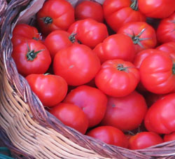 gazpacho-tomate-maduro