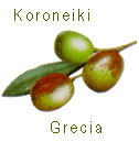 aceituna koroneiki